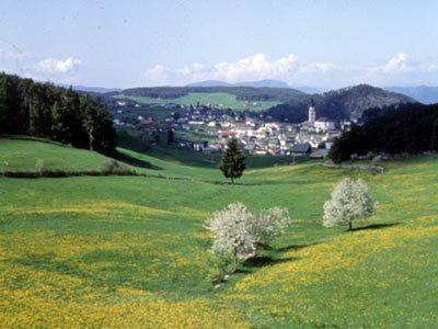 Hotel Garni Waldfrieden à Castelrotto Extérieur photo